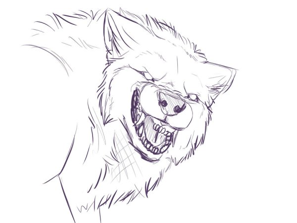 Набросок оборотня