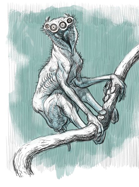 Зарисовки существ