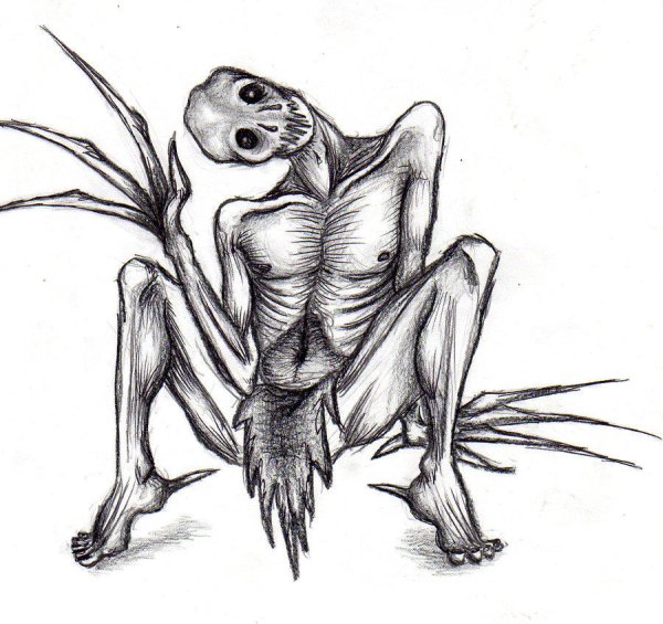 Василиск Гарри Поттер фестрал