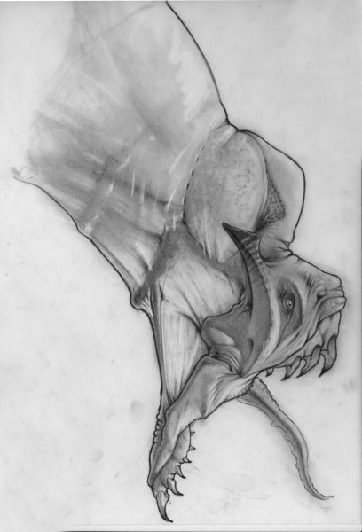 Существа карандашом