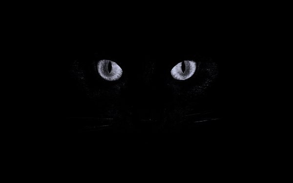 Глаза на темном фоне