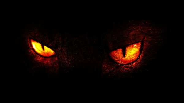 Глаза из Темноты