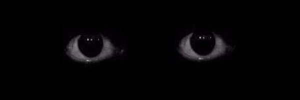 Пугающие глаза в темноте