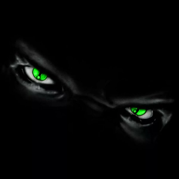 Глаза в темноте