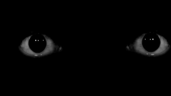 Взгляд из Темноты