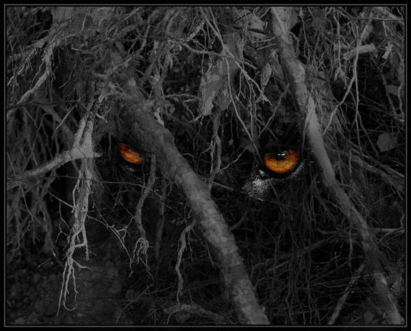 Злые глаза из Темноты