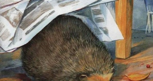 Михаил пришвин еж