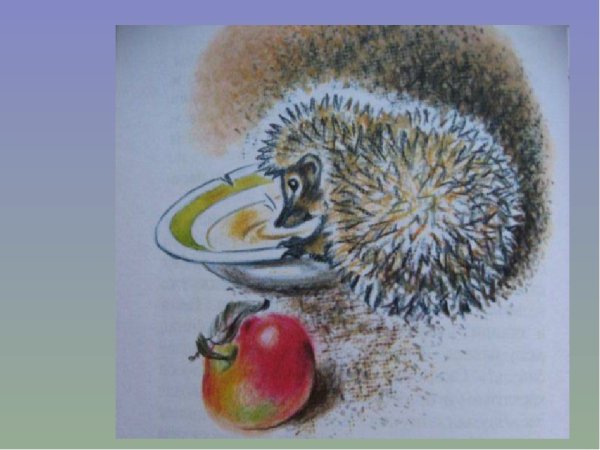 Пришвин еж иллюстрации для детей