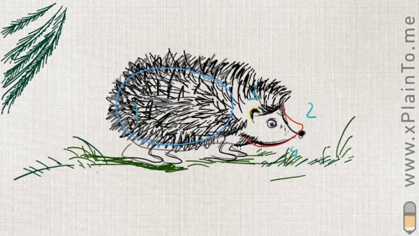 Рисование ежика 1 класс