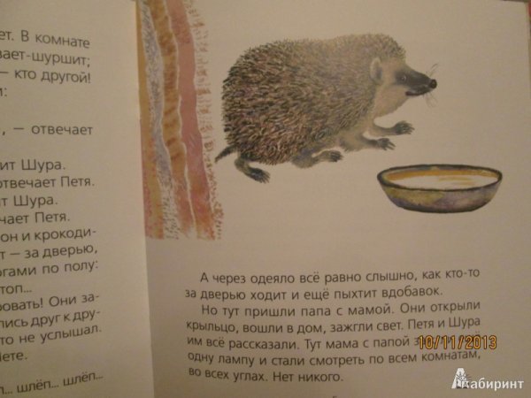 Чарушин рассказ еж