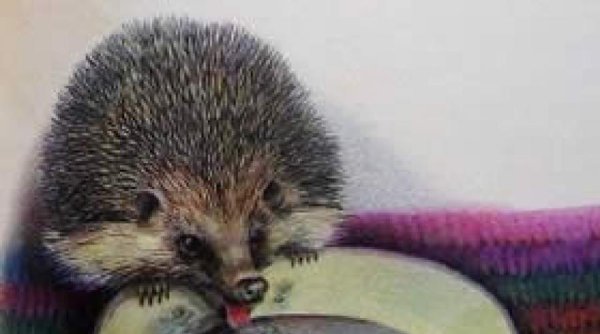Пришвин еж