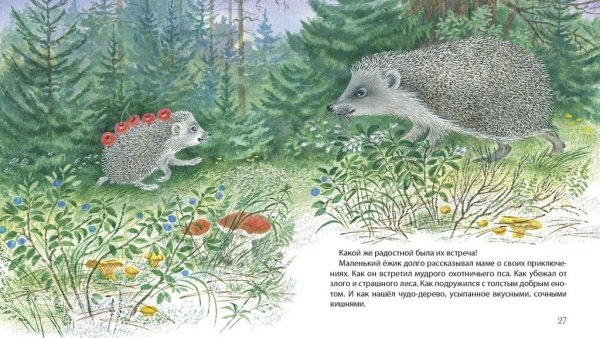 Наталья Чарушина-Капустина самый маленький Ежик