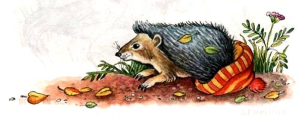 Рассказ Чарушина Ежик