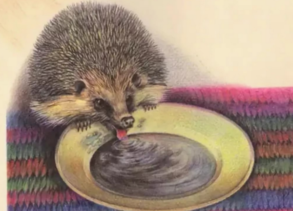 М.пришвин Ежик