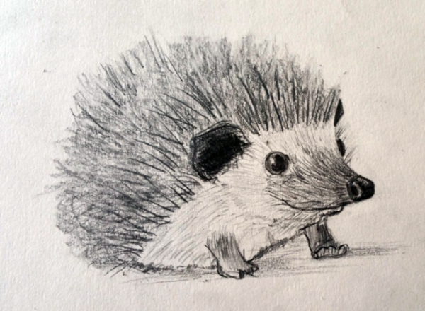 Пришвин еж иллюстрации