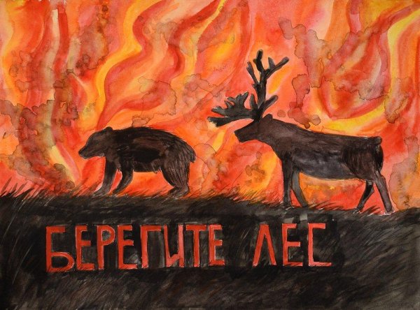 Плакат на тему Лесные пожары