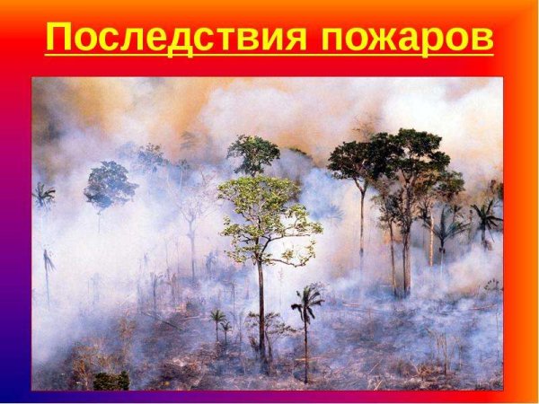 Последствия пожара картинки для детей