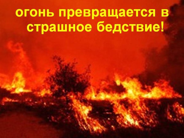 Лесной пожар Алексей Кузьмич Денисов-Уральский