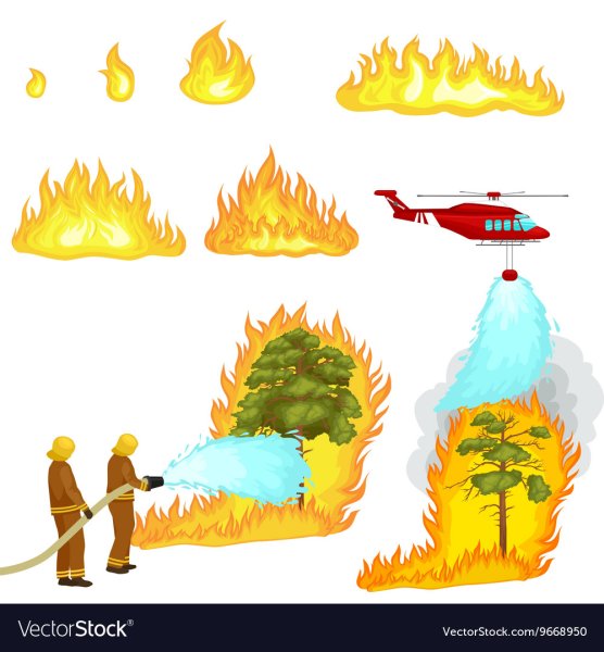 Мемы про Лесные пожары