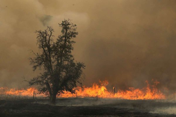 Калифорния пожары 2020