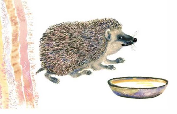 Рассказ е Чарушина ёж