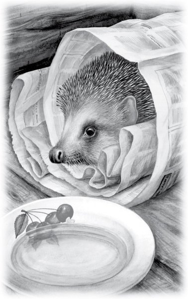 Михаил пришвин еж иллюстрации
