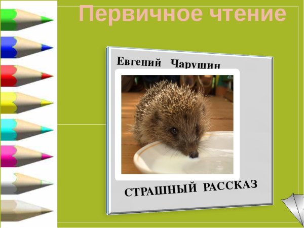 Чарушин страшный рассказ