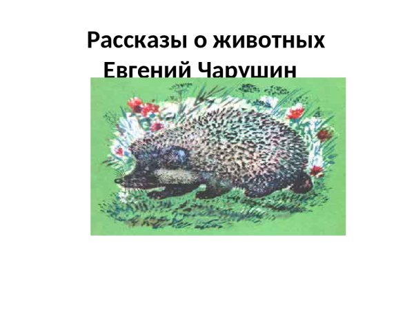 Иллюстрации Чарушина еж