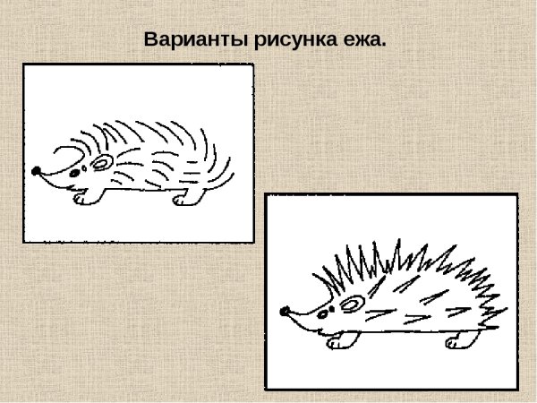 Еж рисунок линия