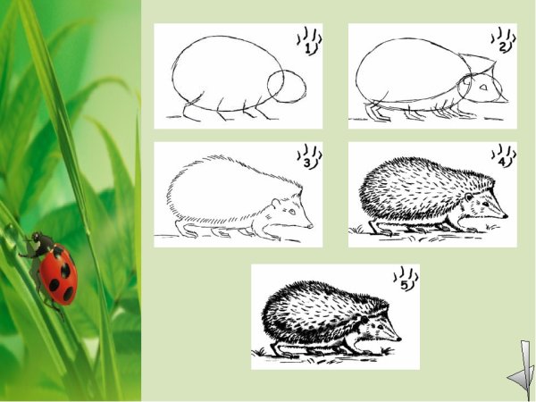 Чарушин страшный рассказ иллюстрации