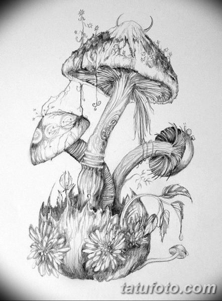 Череп с цветами для срисовки