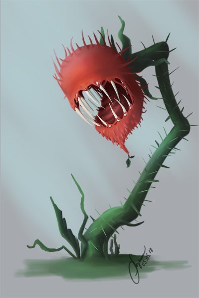 Венерина мухоловка монстр