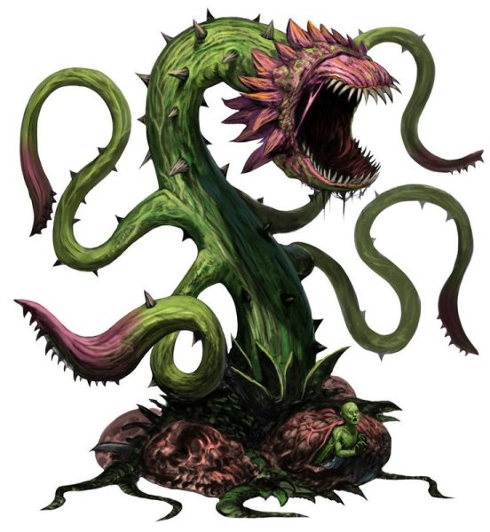 Чертополох гравюра