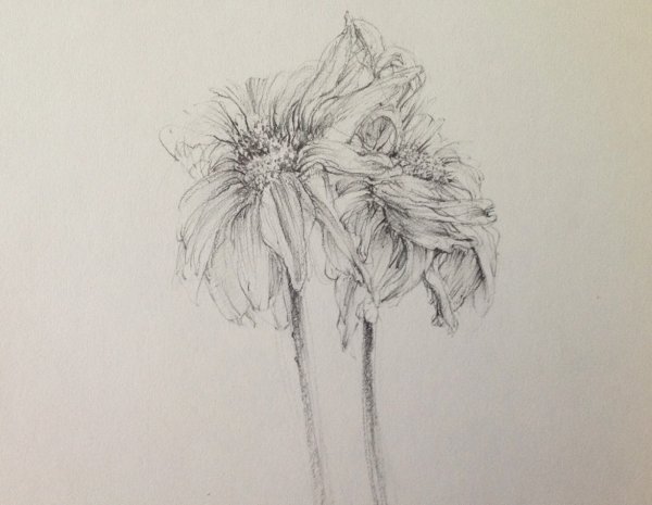 Жуткие цветы рисунок