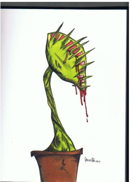 Корень Мандрагоры из Гарри Поттера