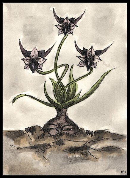 Тату увядший цветок