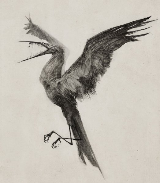 Страшная птица арт