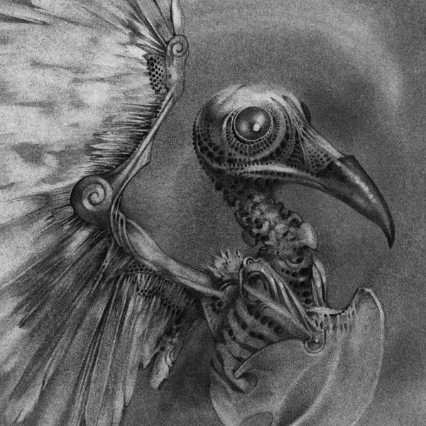 Страшные арты птиц