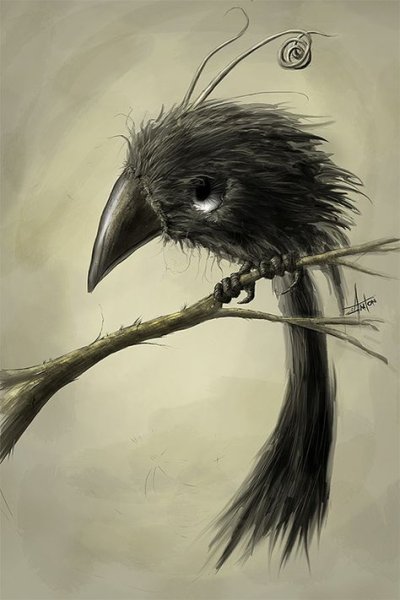 Милый ворон