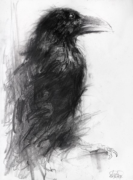Ворон карандашом