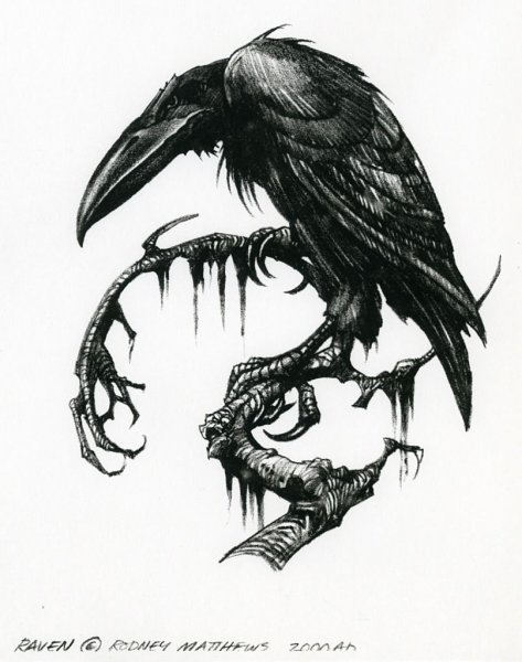 Ворон тату эскиз