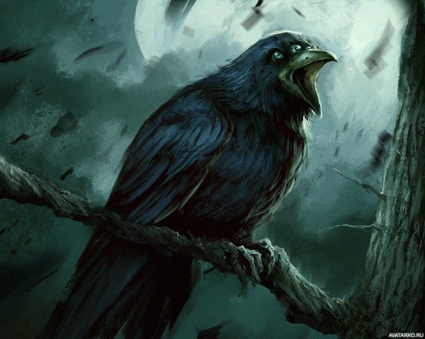 Фамильяр ворон