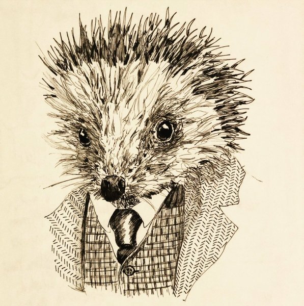Ежик в галстуке
