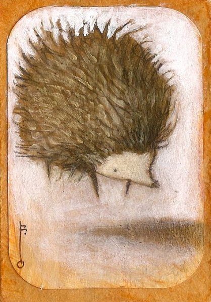 Портрет ежика
