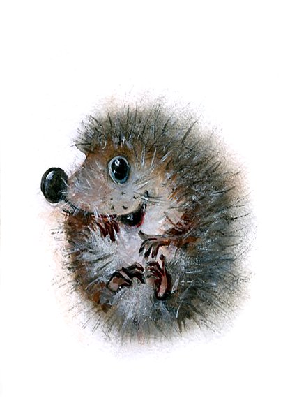 Сумасшедший Ежик