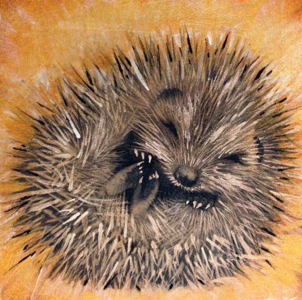 Спящий Ежик арт