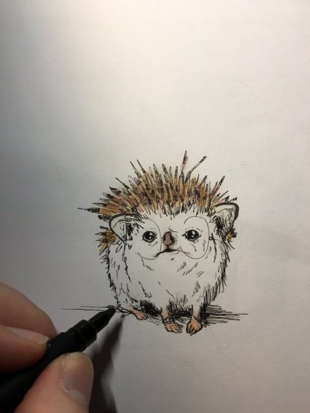 Ёж референс