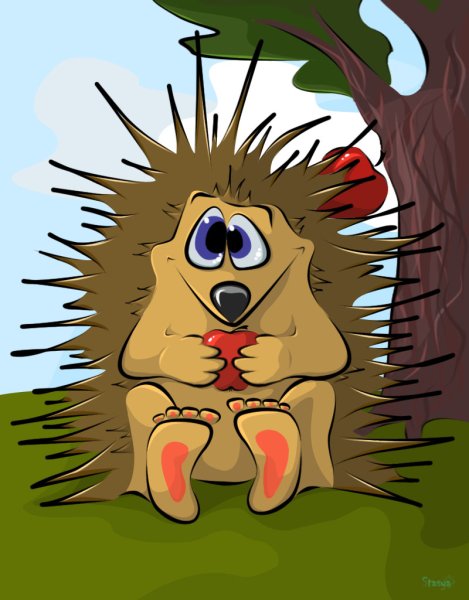 Сумасшедший Ежик