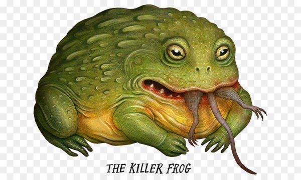 Лягушка монстр