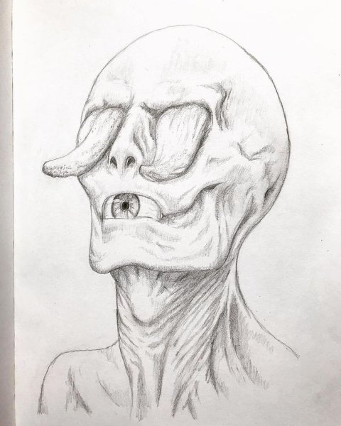 Разные носы